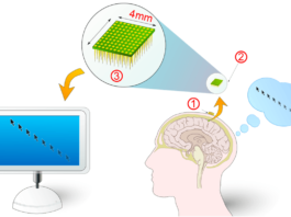 Brain Computer Interface (BCI)